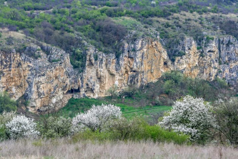 From Bucharest: Experience Bulgaria Small-Group Trip - Crossing into Bulgaria over the Danube from Bucharest