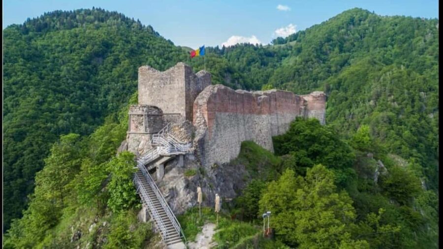 From Bucharest: Făgăraș Mountains and Bear Watching Tour - Key things to know before you go