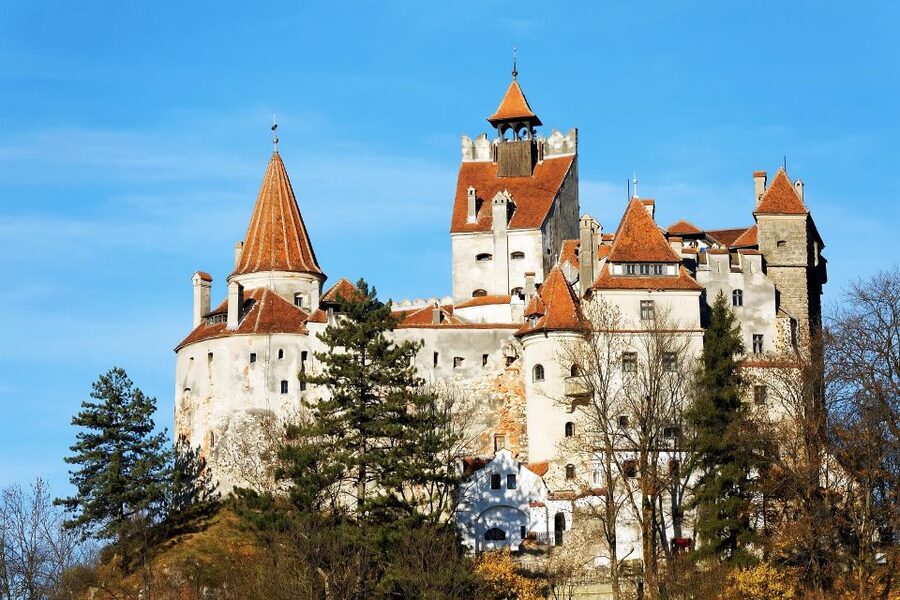 From Bucharest: Libearty Bear Sanctuary and Dracula's Castle - Key highlights worth your time