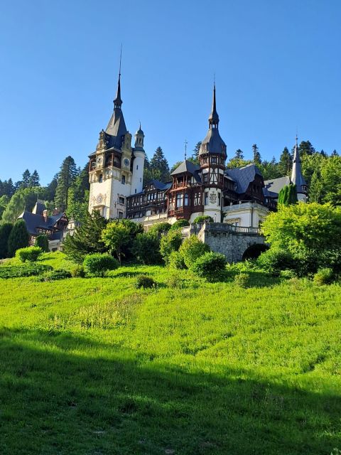 From Bucharest: Sinaia Full-Day Tour - The Driver Experience Makes or Breaks a Day Trip