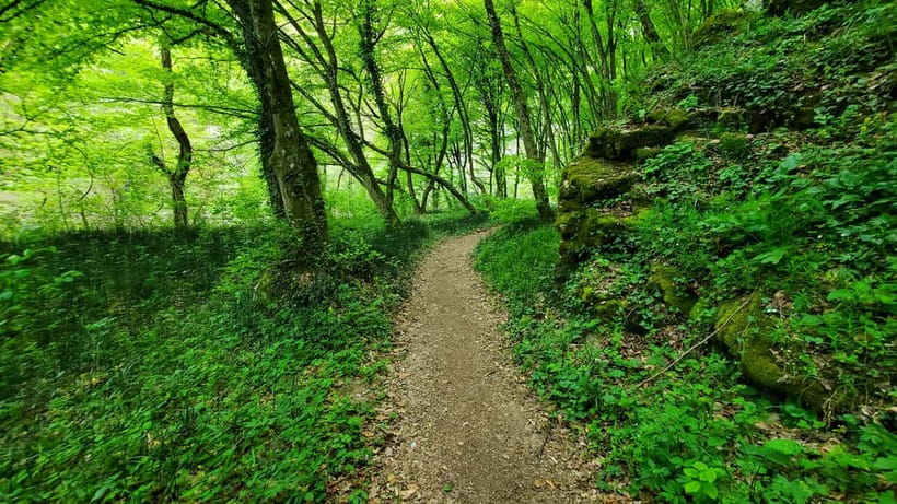 From Cluj: Gorges of Crisul Repede River - What to bring: shoes, water, and the clothes that save your day