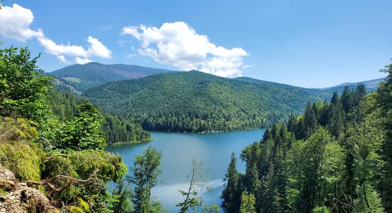 From Cluj: Mountain Bike around Lake Dragan - Key Points That Make This Tour Worth It