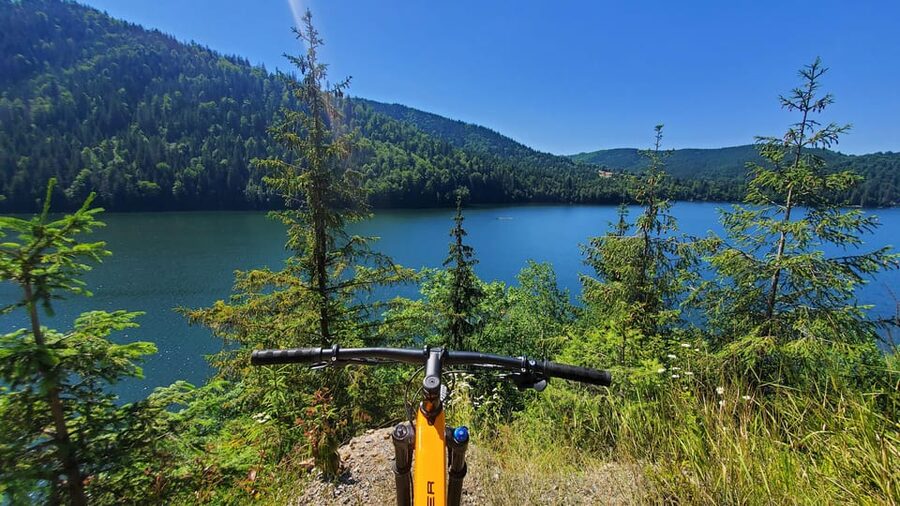 From Cluj: Mountain Bike around Lake Dragan - The Descent to the Right Arm: Narrow Forest Roads and Cooling Off