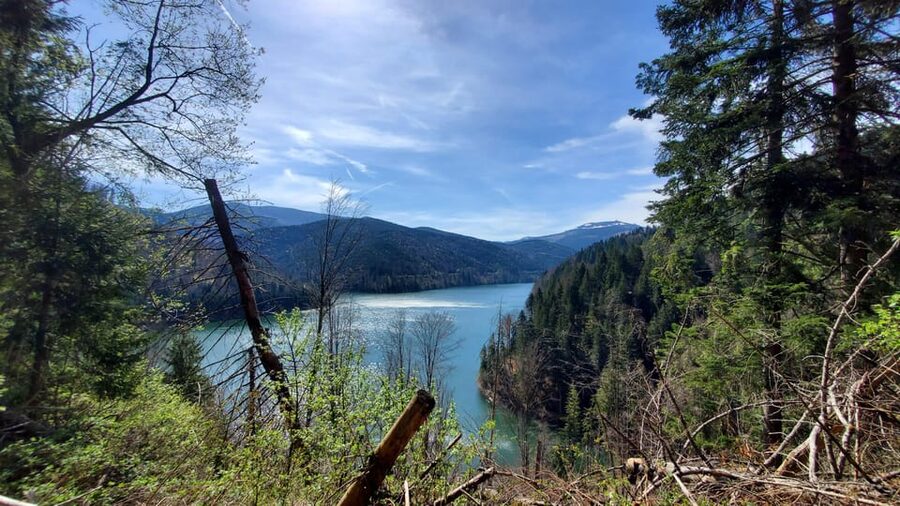 From Cluj: Mountain Bike around Lake Dragan - Epic Forest Roads Back Down Toward the End of the Lake