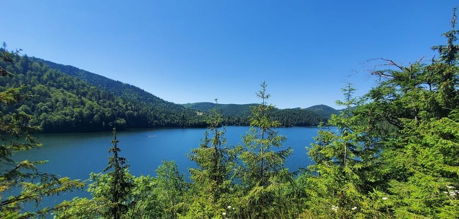 From Cluj: Mountain Bike around Lake Dragan - Riding Far Above the Water: A Long Scenic Section That Stays Active