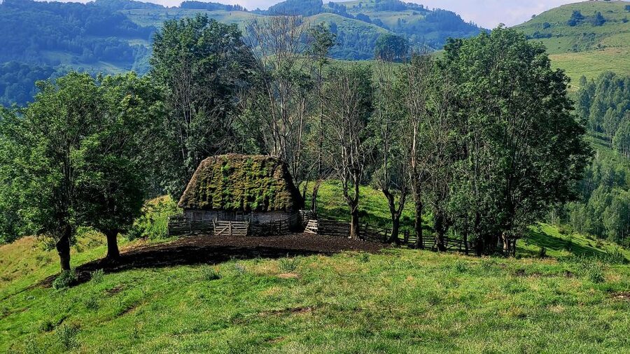 From Cluj-Napoca: Apuseni Mountains Hiking Guided Day Tour - Who should book this Apuseni day hike, and who should skip it