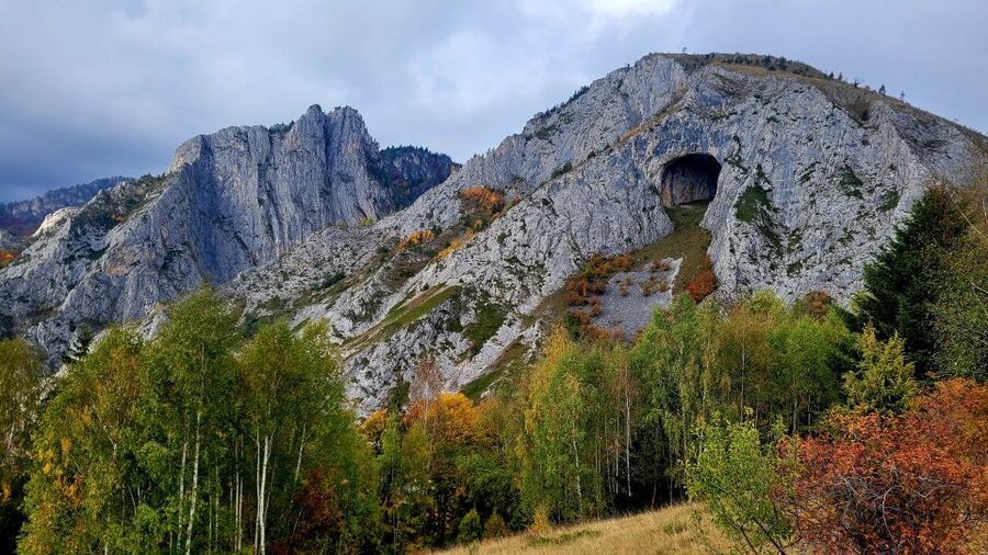 From Cluj-Napoca: Apuseni Mountains Hiking Guided Day Tour - Scarita-Belioara botanical reserve: rare endemic plants and fungi you can actually spot