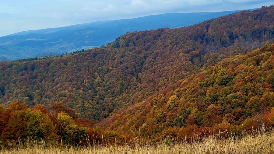 From Cluj-Napoca: Apuseni Mountains Hiking Guided Day Tour - The return option: Sipote waterfall and Dumesti village if time allows