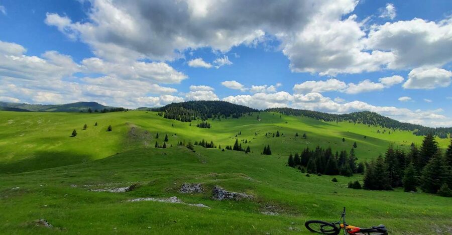 From Cluj-Napoca: Carpathian Mountains Guided Scenic Hike - Key Highlights You’ll Feel from Day One