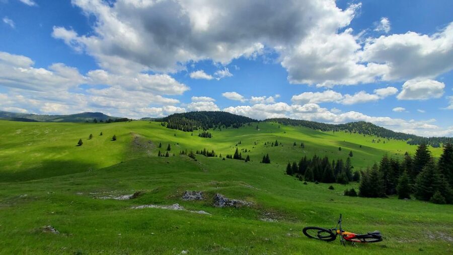 From Cluj-Napoca: Carpathian Mountains Guided Scenic Hike - Getting to Padiș: early pickup and a small-group start