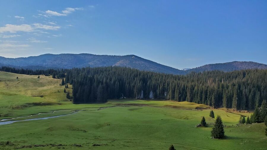 From Cluj-Napoca: Carpathian Mountains Guided Scenic Hike - River crossing and meadow time that feels unhurried