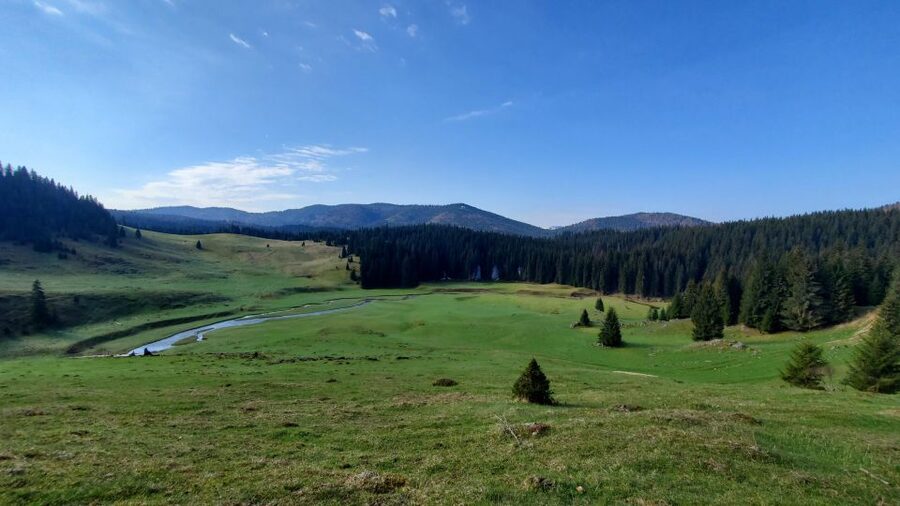 From Cluj-Napoca: Carpathian Mountains Guided Scenic Hike - Price and value: what $116 buys you in the Apuseni