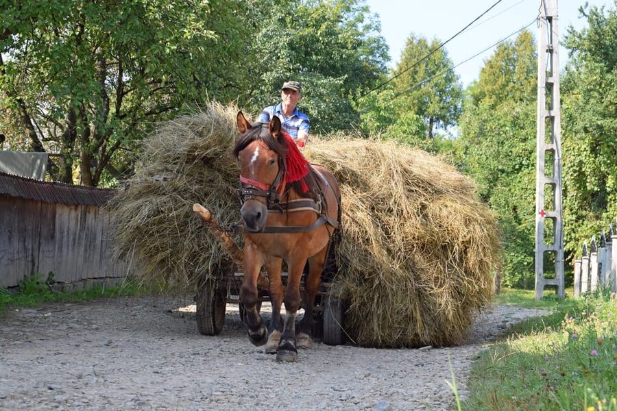From Cluj-Napoca: Maramures Day Tour - Shoes, stairs, and standing time: what you are really signing up for