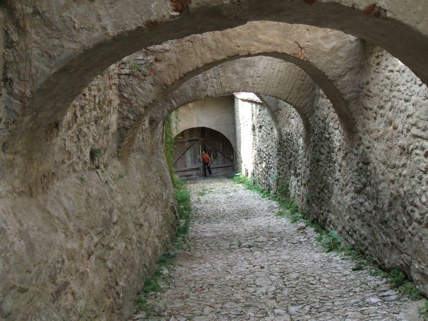 From Cluj: Sighișoara and Church of Biertan Guided Tour - The van ride to Biertan: why it matters