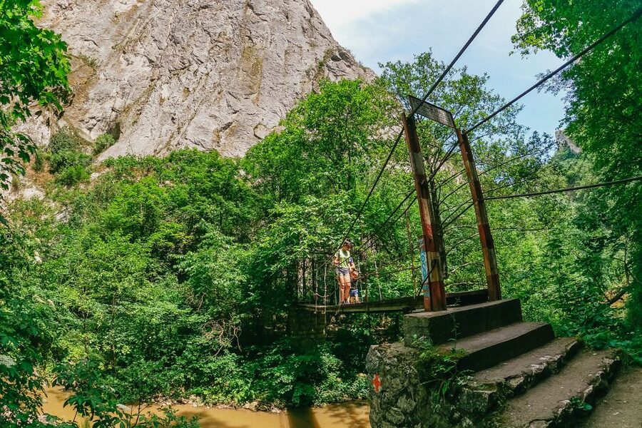 From Cluj: Turda Salt Mine, Gorge, and Remetea Full-Day Trip - Key highlights to watch for
