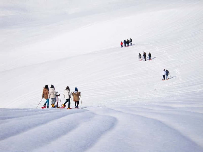 From Cluj: Winter Walking Trip on the Great Mountain - Winter Walking Trip on the Great Mountain: a 6-hour snowshoe plan