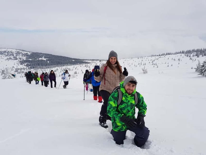 From Cluj: Winter Walking Trip on the Great Mountain - The main guided hike: forests, wildlife chances, and hot tea stops