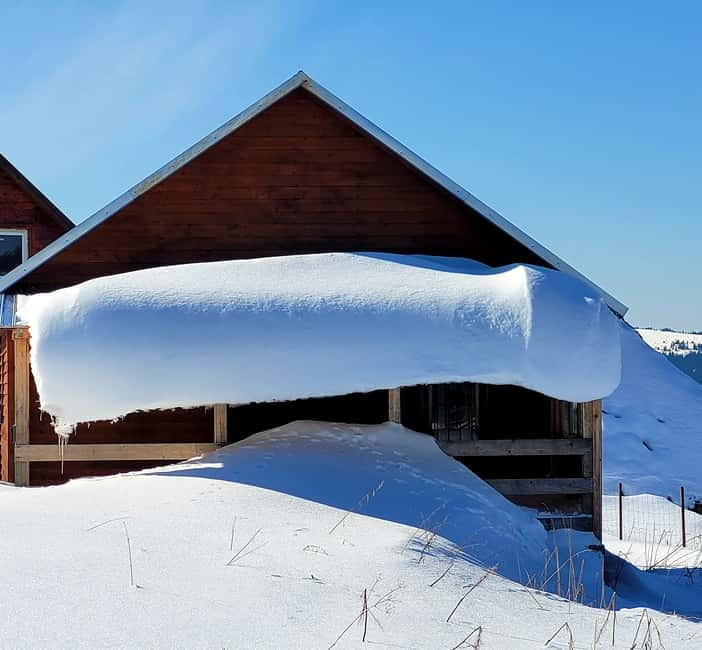 From Cluj: Winter Walking Trip on the Great Mountain - Price and value: is $115 worth it?
