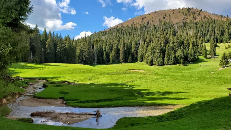 From Oradea: Apuseni Mountains Guided Hiking Tour - Key takeaways before you lace up