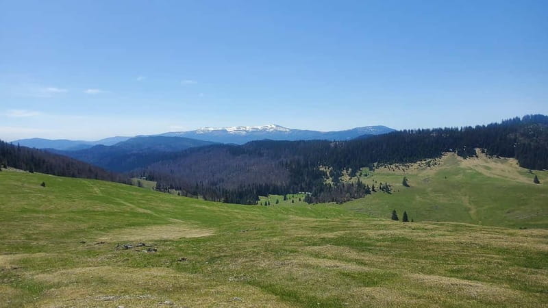 From Oradea: Apuseni Mountains Guided Hiking Tour - Apuseni Mountains: Why this guided hike feels like the real deal