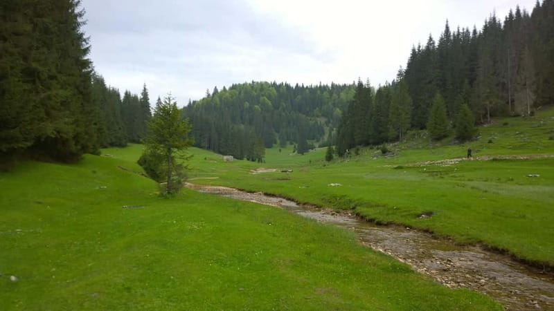 From Oradea: Apuseni Mountains Guided Hiking Tour - Ponor Plain viewpoint: the payoff over the flooded plain