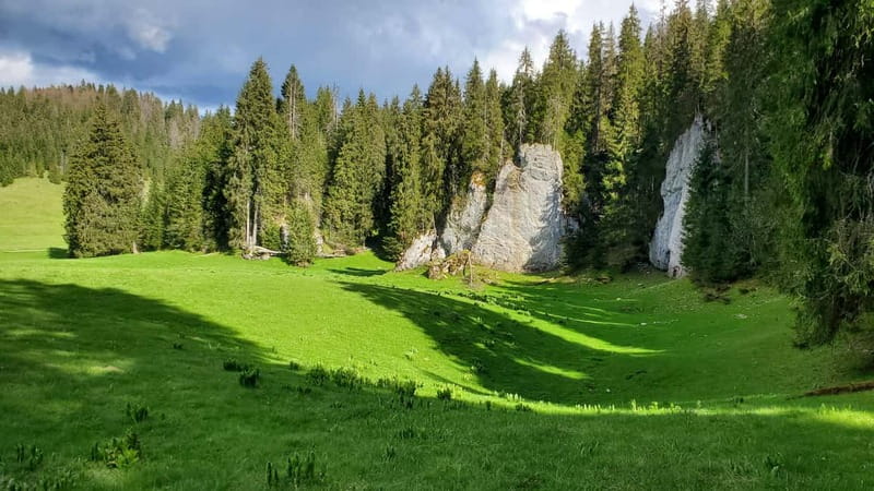 From Oradea: Apuseni Mountains Guided Hiking Tour - Back up to the Padis Plateau and the Biserica Motului finale