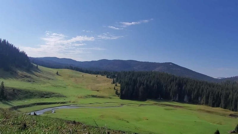 From Oradea: Apuseni Mountains Guided Hiking Tour - Food and water: you can hike without packing everything
