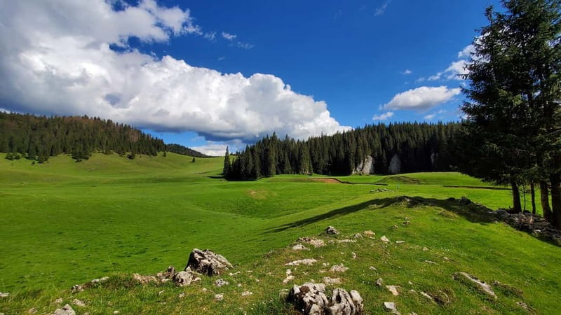 From Oradea: Apuseni Mountains Guided Hiking Tour - The route logic: Padis Plateau loop vs Oradea start