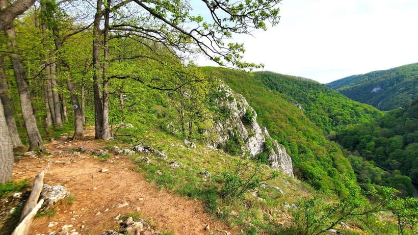 From Oradea: Gorges of Crisul Repede River - Vadu Crisului Falls: your best photo angles from above, then up close views later