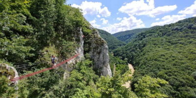 Gorges of Crisul Repede River