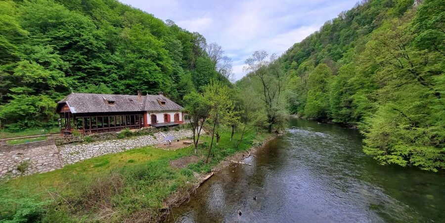 From Oradea: Gorges of Crisul Repede River - Walking the gorges: viewpoints, river views, and the smart shade plan