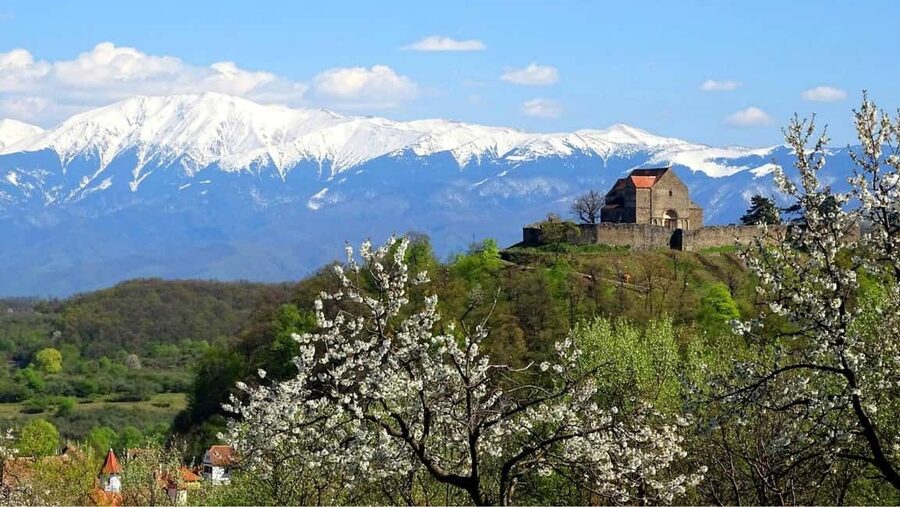 From Sibiu: Blue Line & City Tour Sighisoara - UNESCO - The ride in an air-conditioned van, plus the small group advantage
