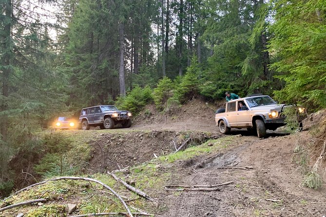Full Day 4x4 Tour in the Eastern Carpathians - Haromkut and Imre Vendégház: trout, shepherd life, and simple rural authenticity