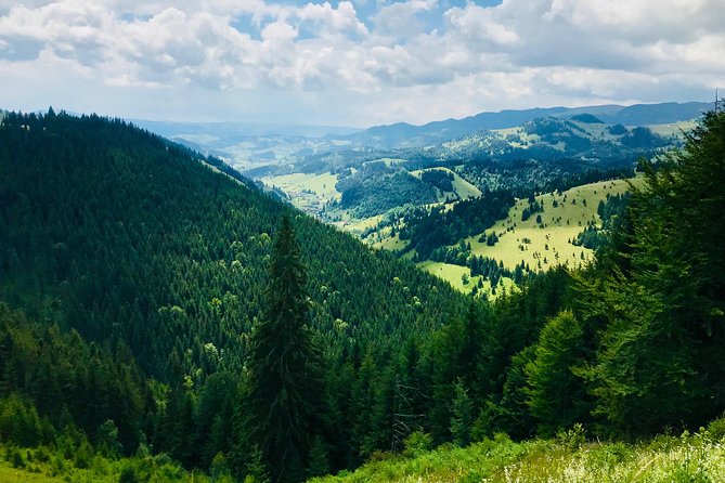 Full Day 4x4 Tour in the Eastern Carpathians - Why this private 4x4 route is worth your time