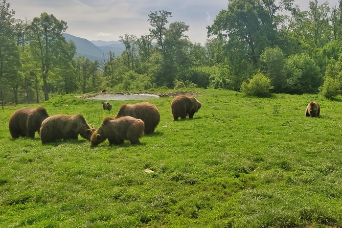 Golden Circle of Transylvania - Day 2: Alba Iulia citadel, Transfagarasan to Balea Lake, and Brasov nights