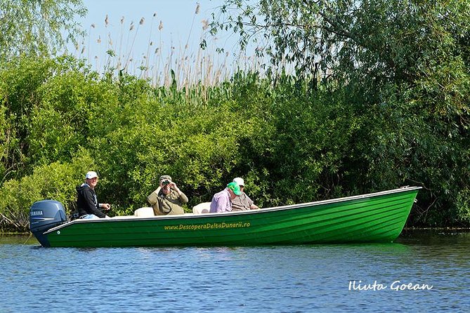 Guided Birdwatching day trip to the Danube Delta - private program - Key Things I’d Prioritize Before You Go