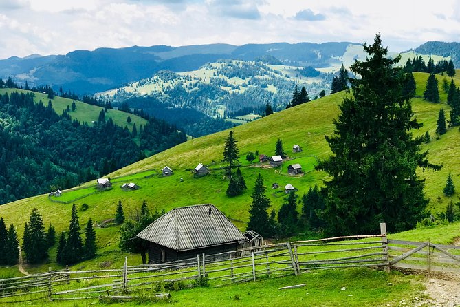 Half-Day 4x4 Tour in the Eastern Carpathians - Food and Wildlife: What You Actually Get Out of the Stops