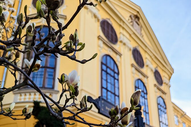 Half-Day Private Food and Wine Walking Tour Oradea Romania - A half-day route that tastes like Oradea