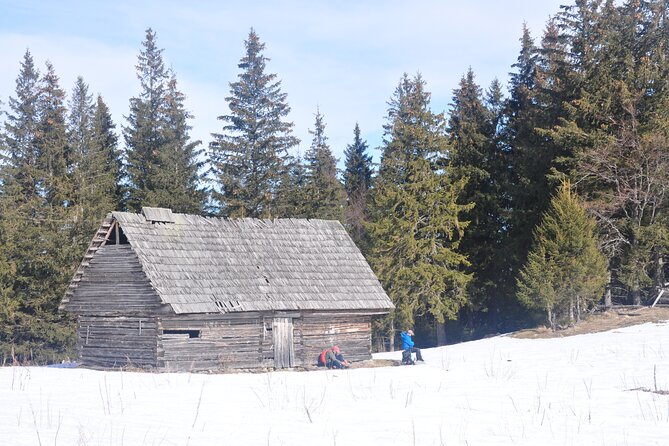 Hike in the Wild Private Photo Tour - Getting to the trail, and why Zărnești matters
