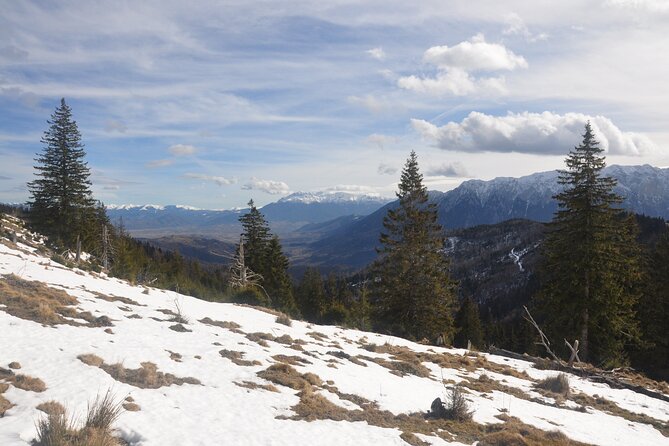 Hike in the Wild Private Photo Tour - Price and value, $115.19 for a private day