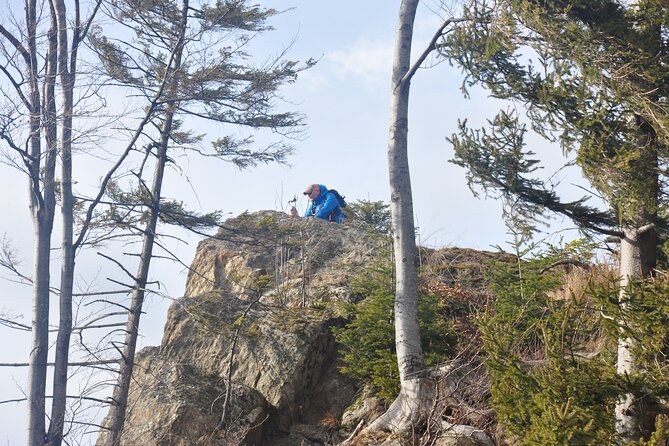 Hike in the Wild Private Photo Tour - Stop in the mountains: forests, meadows, and big photo overlooks