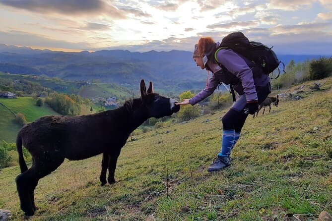 Hiking thought the best mountain villages in Romania-Private tour from Brasov - Weather, footwear, and packing like a mountain village hiker