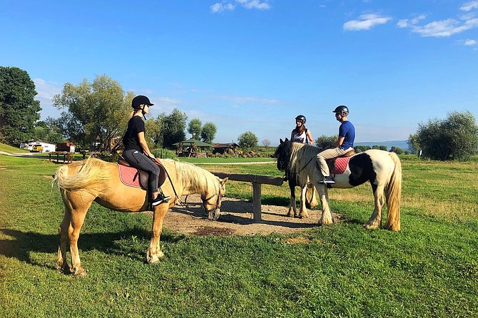 Horseback Riding Tour In Brasov - Ride Through Fields, Forests & Hills - Who this tour works for