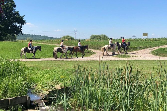 Horseback Riding Tour In Brasov - Ride Through Fields, Forests & Hills - Key highlights to know before you go