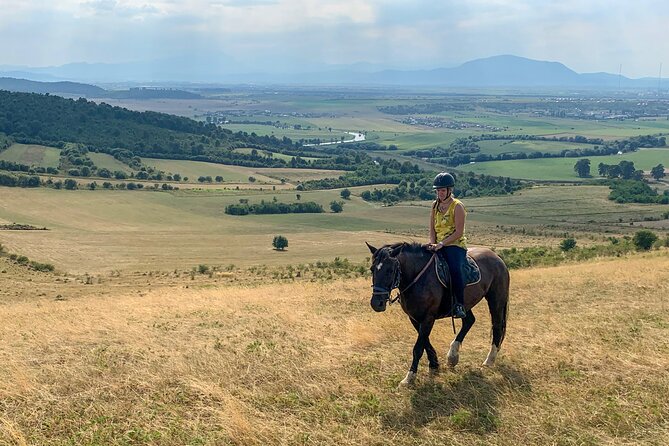 Horseback Riding Tour In Brasov - Ride Through Fields, Forests & Hills - The ride start: ranch drive and matching your horse