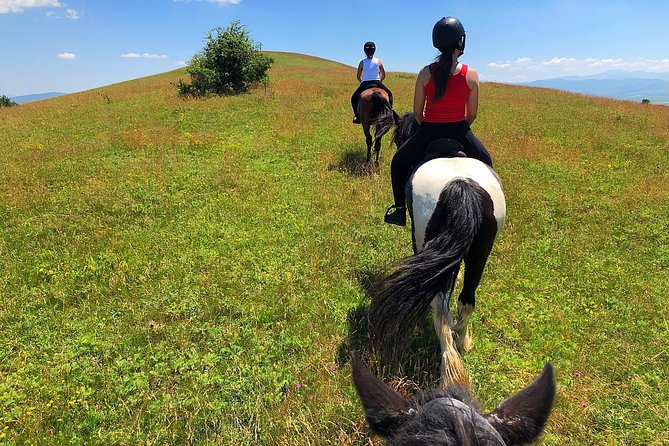 Horseback Riding Tour In Brasov - Ride Through Fields, Forests & Hills - Wildlife moments and how to spot them without rushing