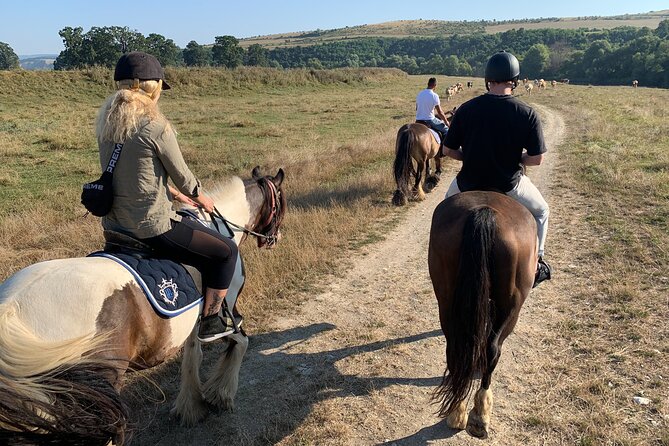 Horseback Riding Tour In Brasov - Ride Through Fields, Forests & Hills - Back at the ranch: stables, Friesians, and Andalusians