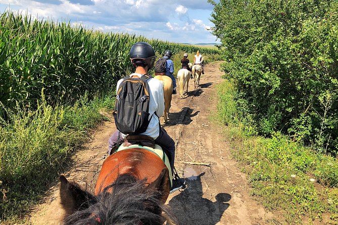 Horseback Riding Tour In Brasov - Ride Through Fields, Forests & Hills - The fortified church stop: history on your route, if you add it