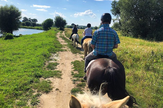 Horseback Riding Tour In Brasov - Ride Through Fields, Forests & Hills - Pickup, timing, and meeting point at Corpul T