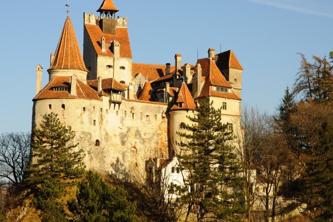In Search of Dracula and the Teutons in Transylvania Full-Day Private Tour - Price and value, what you get for $151.54